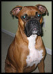 Sampson